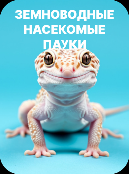Зоомагазин — товары для животных